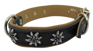 Halsband Edelweiss 25mm (16206)